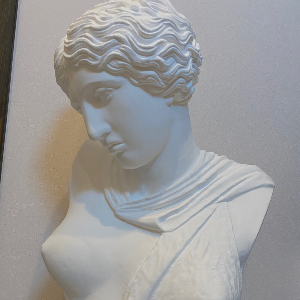 美術家デッサン用石膏像