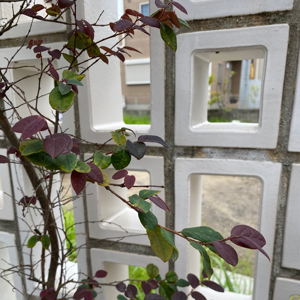 常滑焼物ブロック壁